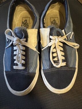 Vans Low-Top Skate Sneakers in Blue and Black